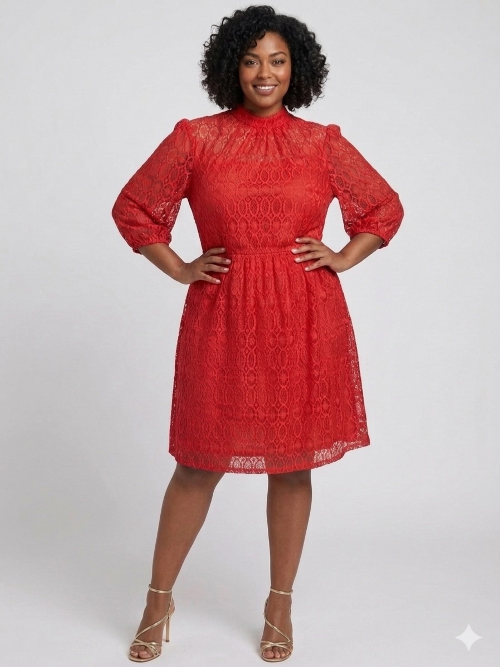 Lane Bryant Red Lace Mock Neck Fit & Flare Dress NWT Plus Size 14
